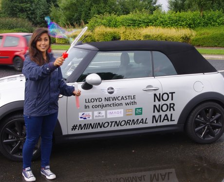 Mini Not Normal