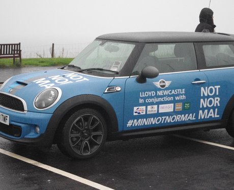 Mini Not Normal
