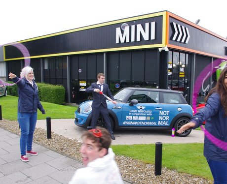 Mini Not Normal
