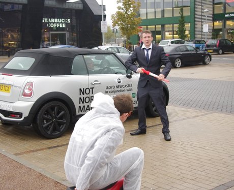 Mini Not Normal