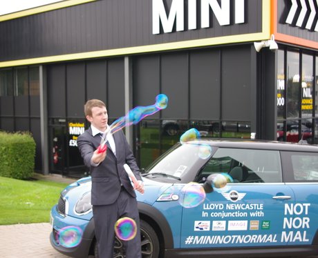 Mini Not Normal