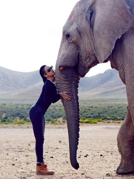 Rihanna and Elephant