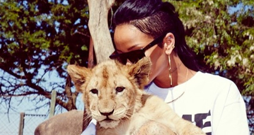 Rihanna at the zoo