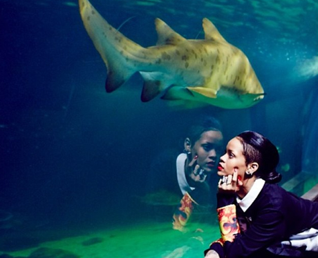 Rihanna at the zoo