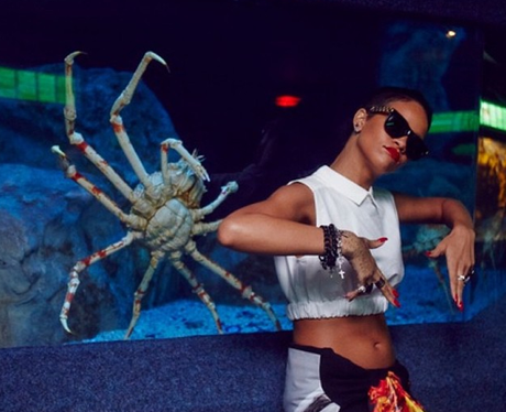 Rihanna at the zoo