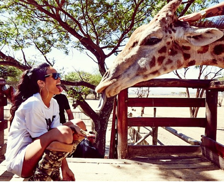 Rihanna at the zoo