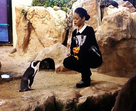 Rihanna at the zoo
