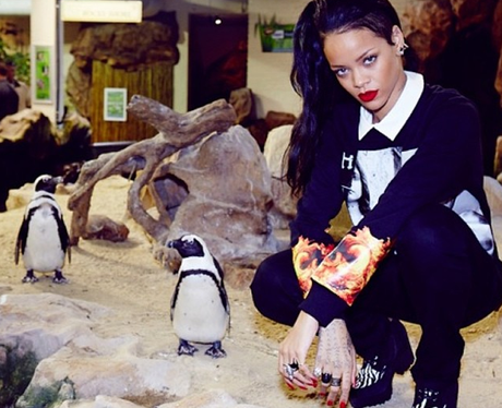 Rihanna at the zoo