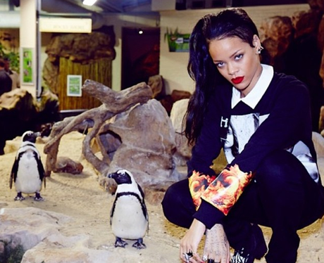 Rihanna at the zoo