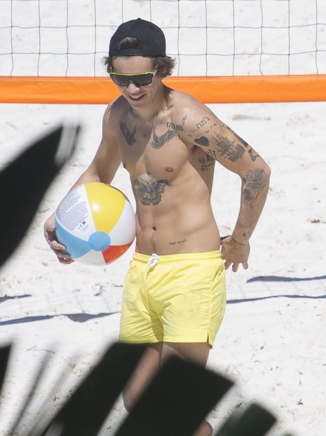 Harry Styles topless