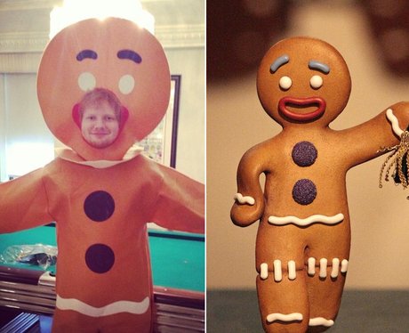 Ed Sheeran Gingerbread man