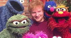 Ed Sheeran on Sesame Street