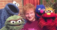 Ed Sheeran on Sesame Street