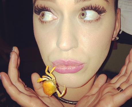 Katy Perry posing with a crab on Instagram