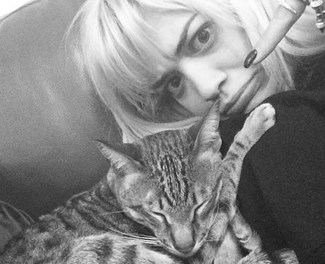Rita Ora and cat