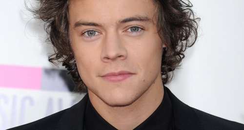 Harry Styles American Music Awards 2013 Red Carpe