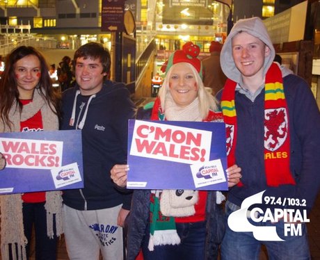 Autumn Internationals: Wales v Tonga