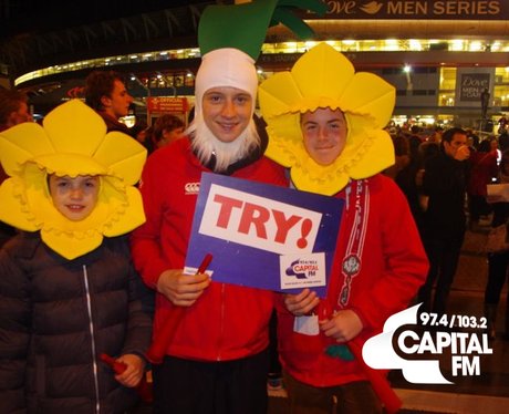 Autumn Internationals: Wales v Tonga