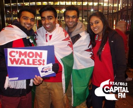 Autumn Internationals: Wales v Tonga