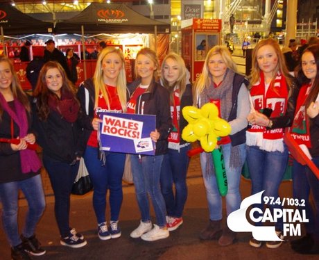 Autumn Internationals: Wales v Tonga