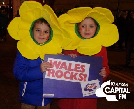 Autumn Internationals: Wales v Tonga