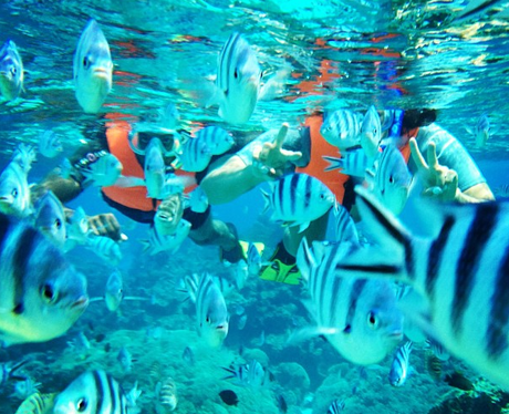 Jason Derulo snorkeling