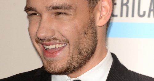 Liam Payne American Music Awards 2013 Red Carpet 