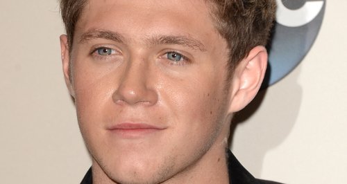 Niall Horan American Music Awards 2013 Red Carpet 