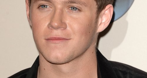Niall Horan American Music Awards 2013 Red Carpet 