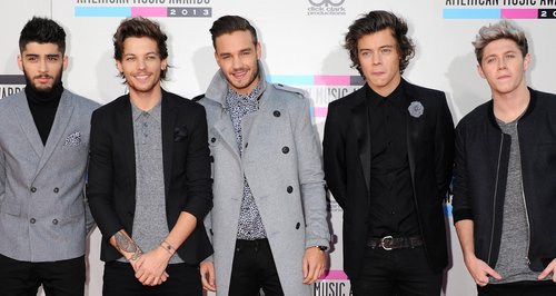 One Direction American Music Awards 2013 Red Carpe