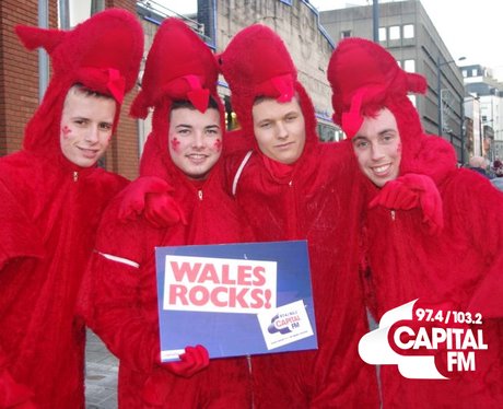 Autumn Internationals: Wales v Australia