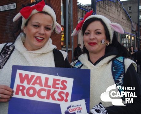 Autumn Internationals: Wales v Australia