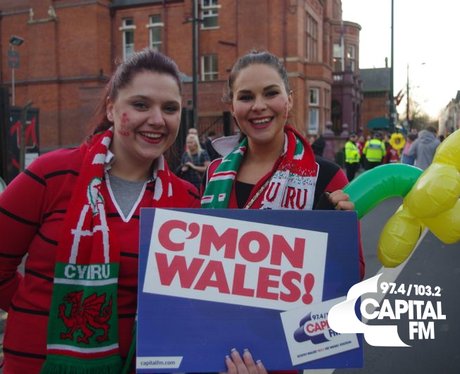 Autumn Internationals: Wales v Australia
