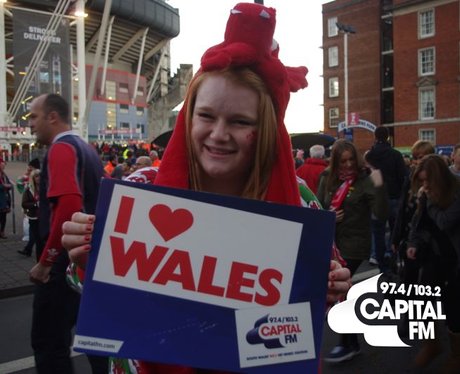 Autumn Internationals: Wales v Australia