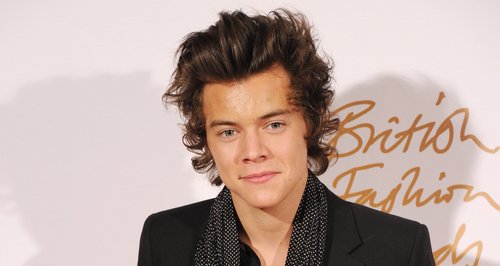 Harry Styles British Fashion Awards 2013