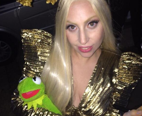 Lady Gaga and Kermit