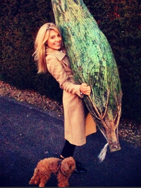 Mollie King Christmas Tree