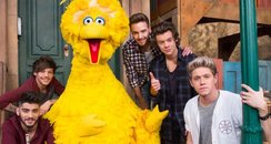 One Direction Sesame Street 