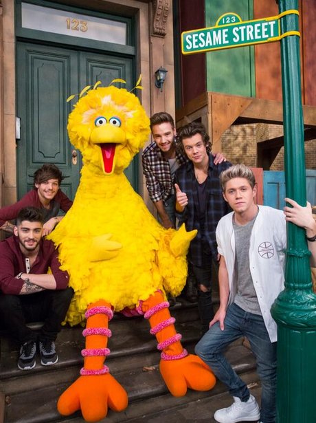 One Direction Sesame Street