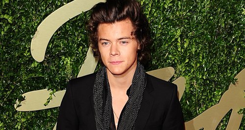 Harry Styles British Fashion Awards 2013