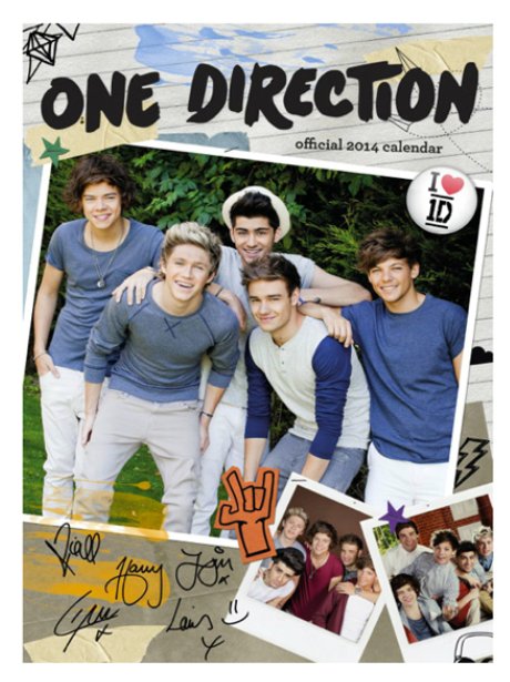 One Direction Calendar 2014