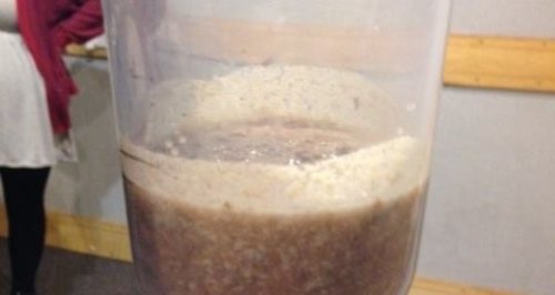 Meaty Smoothie