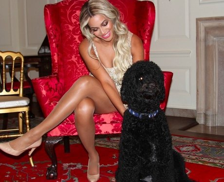 Beyonce With Dog Tumblr