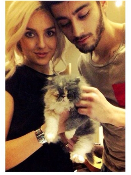 Perrie and Zayn Cat