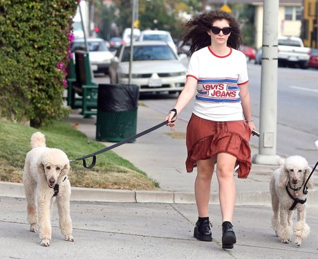 Lorde walking her dogs