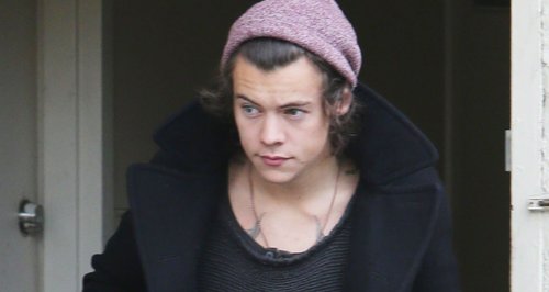Harry Styles pictured in Beverley Hills