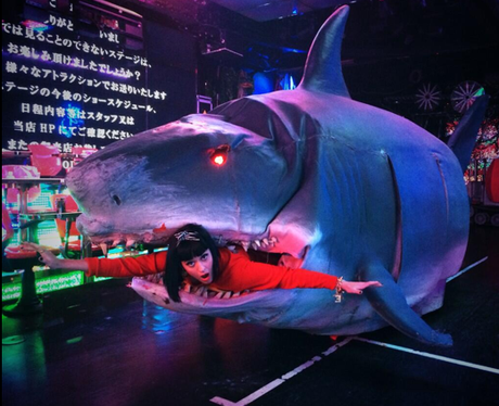 Katy Perry coming out of sharks mouth