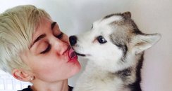 Miley Cyrus and Dog