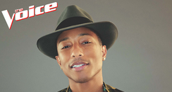 Pharrell The Voice