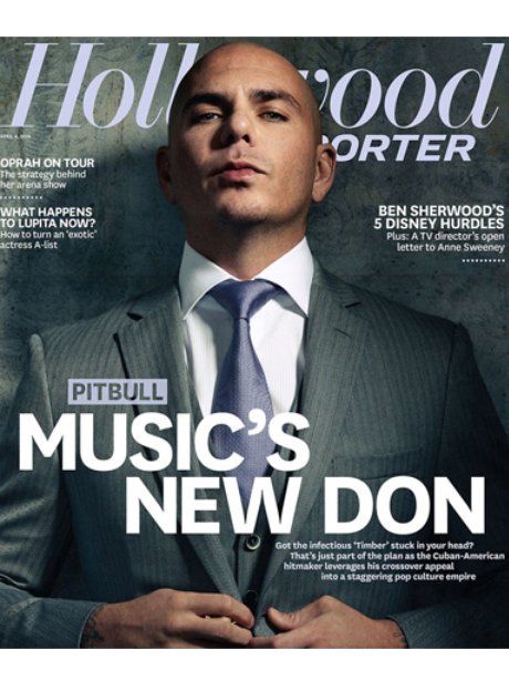 Pitbull Hollywood Reporter 2014